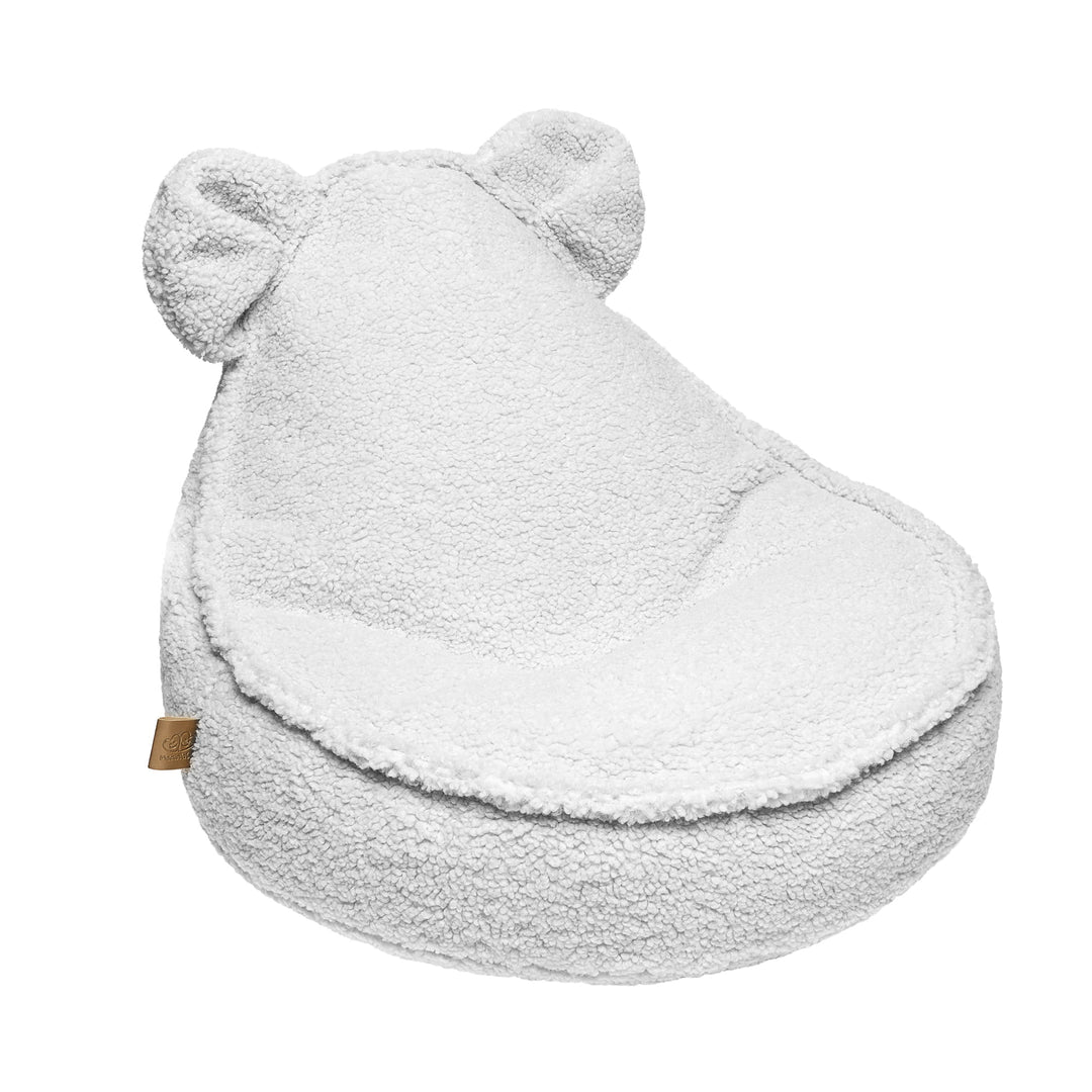 Bearly Beanbag Teddy