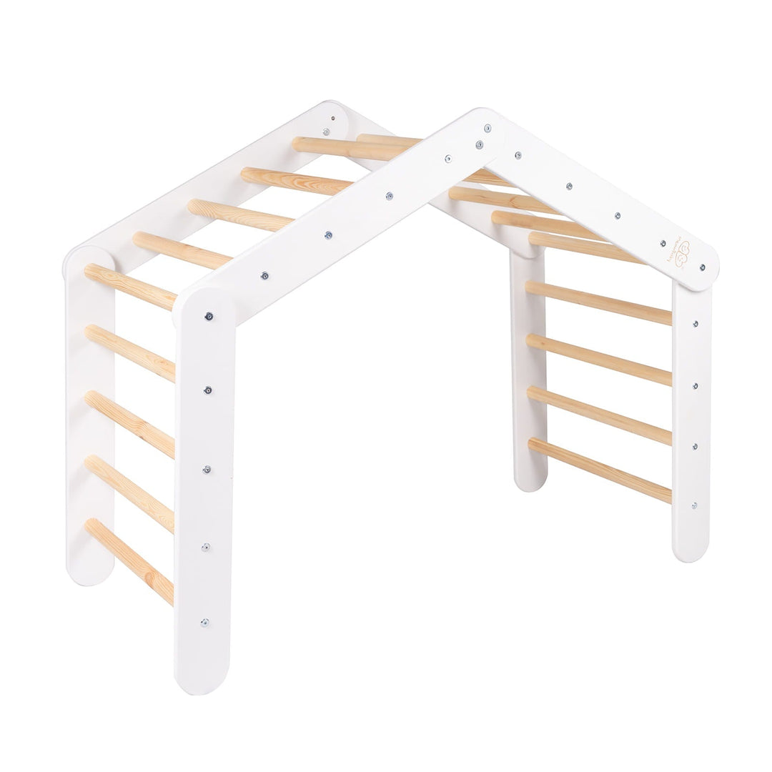 Big Ladder