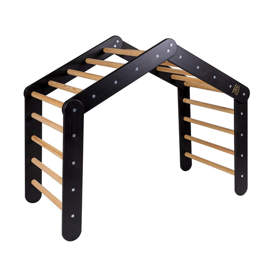 Big Ladder